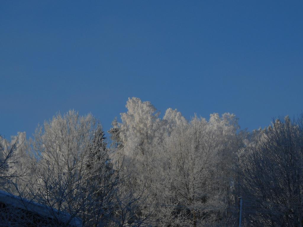 Aelvbacken Hotel Vasterlanda ภายนอก รูปภาพ