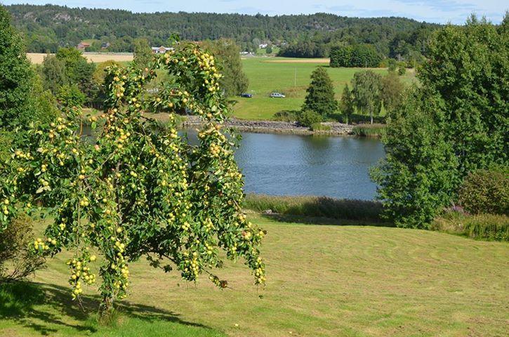 Aelvbacken Hotel Vasterlanda ภายนอก รูปภาพ